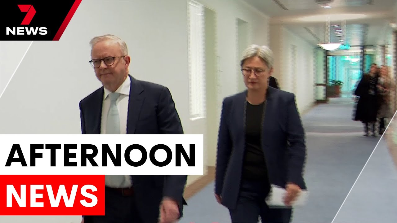 Albanese addresses the nation, Whale trapped off Sydney coast and attacks across Sydney | 7NEWS