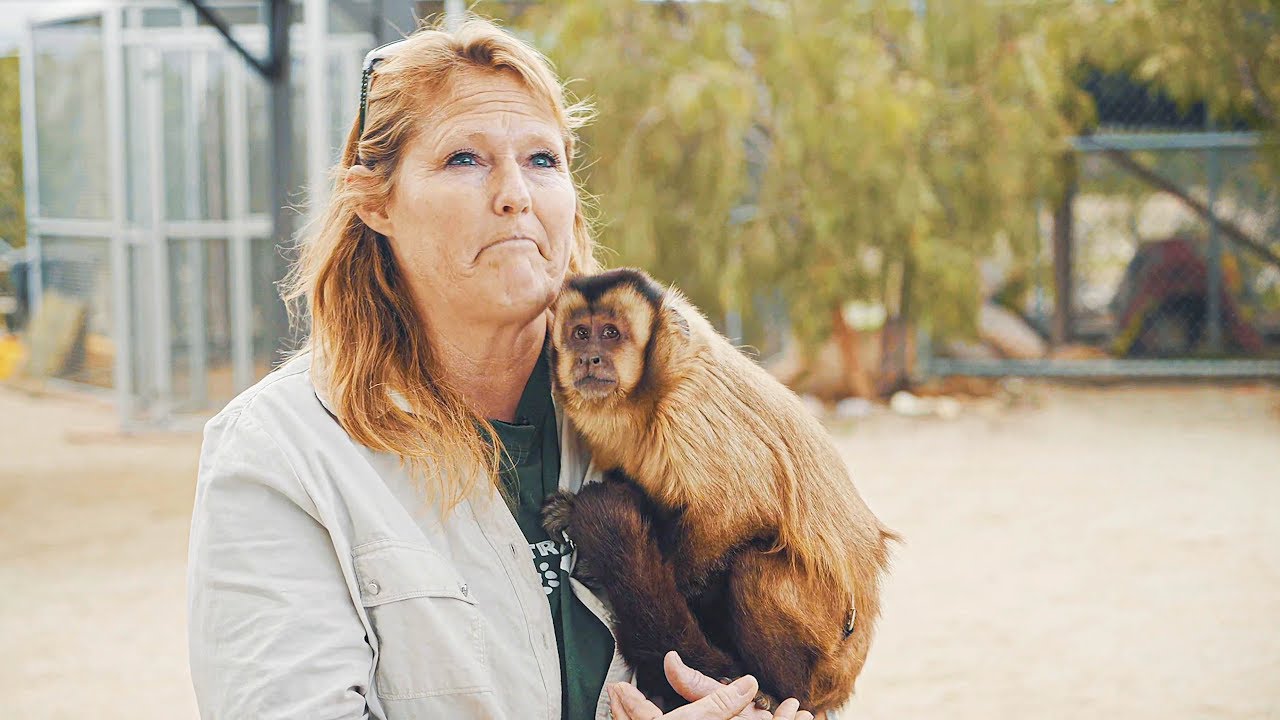 Abused for Views: Mistreated Exotic Pets of Social Media TFIL Films Documentary
