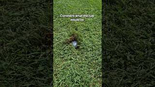 What is the golf rules on this!!!!!!! #shorts #golf #pga