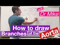 Arteries and Their Functions