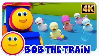 Bob El Tren - Cinco Patitos 🦆 y más Canción Infantil para Contar 🎵