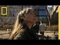 Exploring the Park and Observations