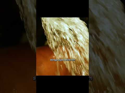 Men choose to use this method to steal bank vaults#youtube #movie