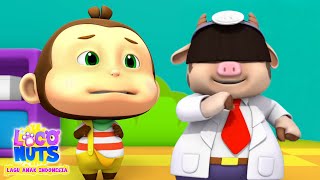 Kompilasi Lagu Anak Indonesia 🐻 Lagu Edukatif, Lucu & Penuh Warna