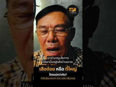 เสือต้อย กับตี๋ใหญ่ ใครใจถึงกว่า ?