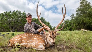 Hunting My First Axis Buck - AMAZING MEAT!