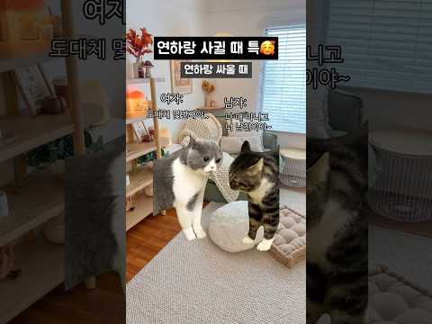 연하랑 사귈 때 특징ㅋㅋㅋ