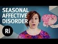 Exploring Seasonal Affective Disorder: Causes and Effects