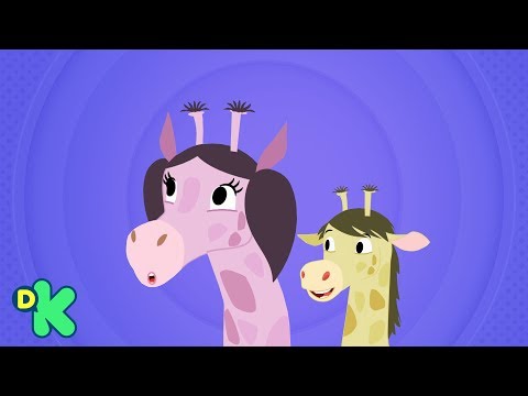 O pescoço da girafa | O Show Da Luna | Discovery Kids Brasil