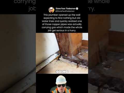 This plumber opened up the wall expecting to find nothing but old water lines and quickly realized