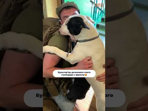 Разлука с самыми дорогими тяжело дается даже четырехлапым