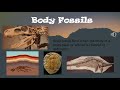 Fossil Formation and Geologic Time