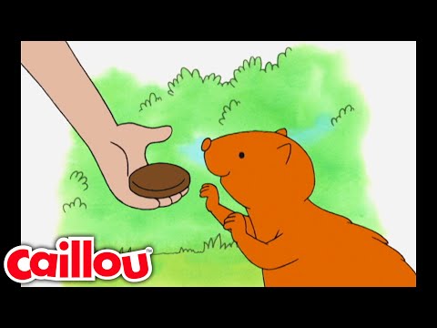 Caillou idzie na kemping | Kajtuś - WildBrain | Nauka dla dzieci