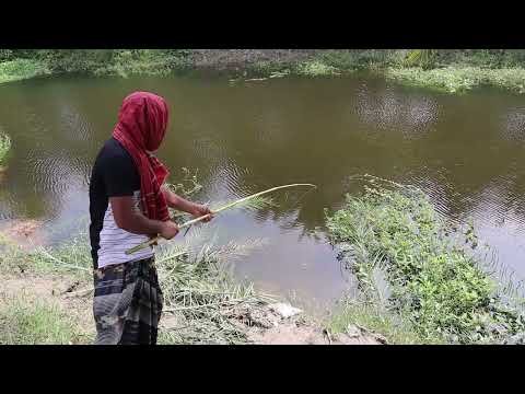 Amazing fishing moment 🎣 Best River fishing videos,, #fishing #hookfishing #reel #মাছধরা