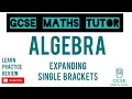 Expanding and Simplifying Expressions
