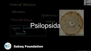 Psilopsida