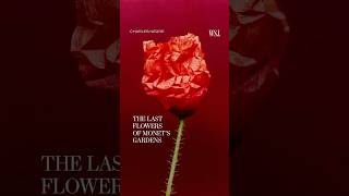 The Last Flowers of Claude Monet's Gardens