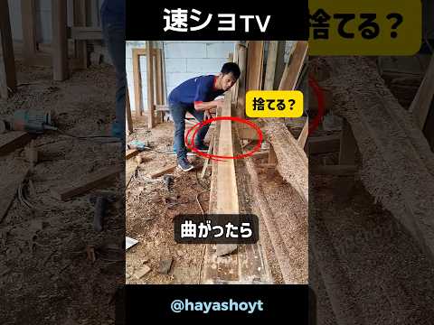 魔法みたいに…曲がった木がまっすぐに！
