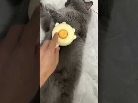 Magic Hair Pancakes Maker For Cats.#shorts #cats #foryou #catlover