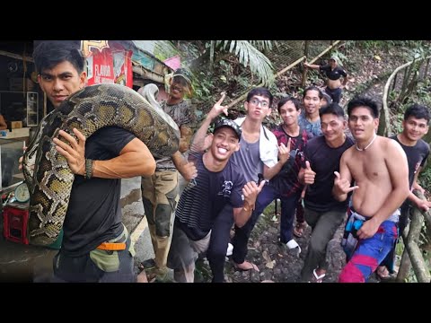 COBRA PRINCE AVENGERS OLD BUT GOLD VIDEO COMPILATION.#cobraprince