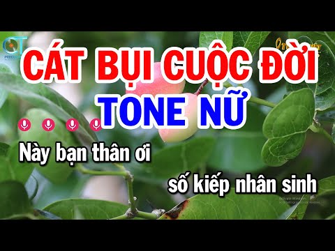 Karaoke Cát Bụi Cuộc Đời Tone Nữ Dm | Nhạc Sống Beat Mới | Karaoke Tuấn Kiệt