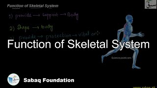 Function of Skeletal System