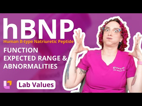 Human B-type Natriuretic Peptides (hBNP): Adult Lab Values,  Nursing students | @LevelUpRN