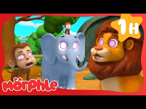 Animal Hypno Mixup | Happy Holidays! | Cartoon for Kids | Mila and Morphle