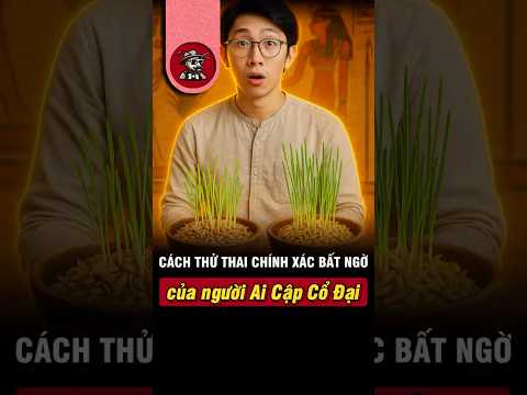 Cách Thử Thai Cổ Đại Của Người Ai Cập Khiến Khoa Học Phải Bất Ngờ! 🌾 #shorts #kiếnsĩ