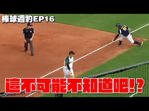 【棒球周豹ep16】居然不知道這規則！富邦世界末日打擊大爆發！真的不一樣了？台鋼小瑕疵可能造成大傷害！【豹子腿方昶詠】#棒球 #中華職棒 #下半季
