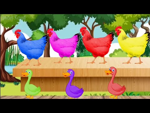 Bebek dan Ayam warna warni |ayam berkokok|ayam rainbow|ayam pelangi