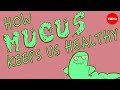 Understanding Mucus: Functions and Importance