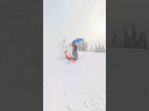 Boy Who Cried Wolf IRL 😭