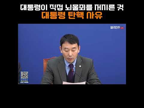 대통령이 직접 뇌물죄를 저지른 것 "대통령 탄핵 사유"