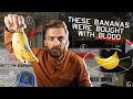 The History and Impact of Bananas