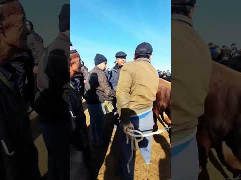 13 млн 500 минг сураляпти