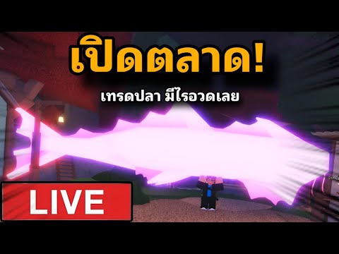 🔴LIVEเปิดตลาอดเทรดปลาดุๆดุดัน3บัดขึ้นจอFischRoblox