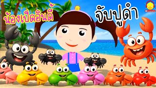 เพลงจับปูดำ ขยำปูนา น้องเป็ดอินดี้เล่นกับปูดำที่ชายหาด #เพลงเด็กน้องเป็ดอินดี้