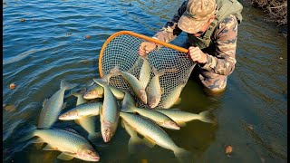 Lanzo Red Con Una Mano Y Enormes Pescados