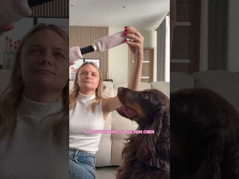 Je vous présente la routine make-up de mon chien 💄