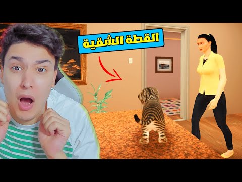 القطة الشقية و السيدة المجنونة 😱 Cat Simulator 2
