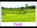 Understanding Basic Vietnamese Phrases