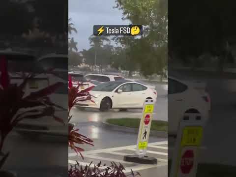 Auto pilot mode ka sahi use ???|| Tesla Model Electric Car with Auto driving function ||