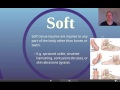 Classification and Consequences of Sports Injuries