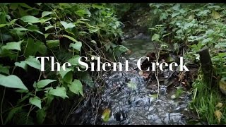 The Silent Creek