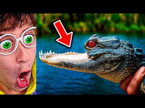Cosas que NO sabías hace 5 minutos...👅💧🐊