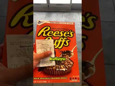 Mısır Gevreği Kutusundan Çıkan Şeye Kimse İnanamadı! 🕷️😱