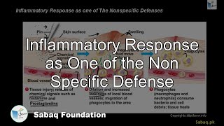Inflammatory Response as One of the Non Specific Defense