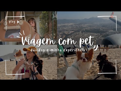 VIAGEM COM PET NO AVIÃO: Dúvidas, minha experiência + vlog