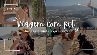 VIAGEM COM PET NO AVIÃO: Dúvidas, minha experiência + vlog